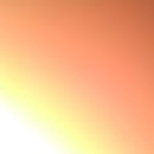 Meet your Posher, Layla